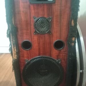 Wooden Portable Speakers